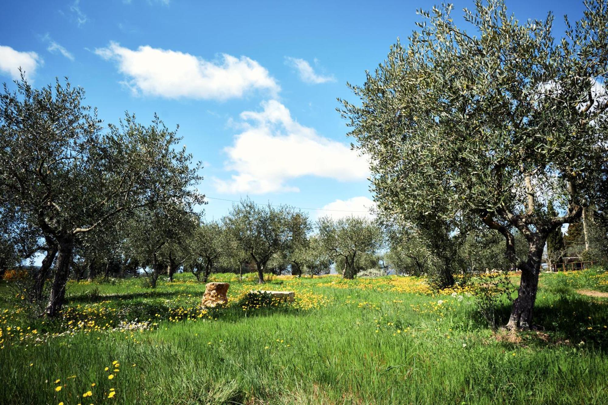Agriturismo San Sano กาโยเล อิน เคียนติ ภายนอก รูปภาพ